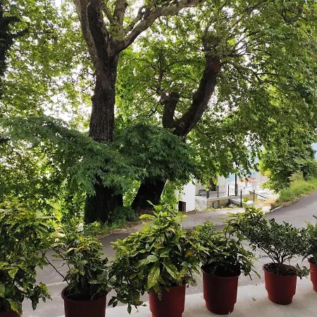 זגורה Isidora Apartments מראה חיצוני תמונה