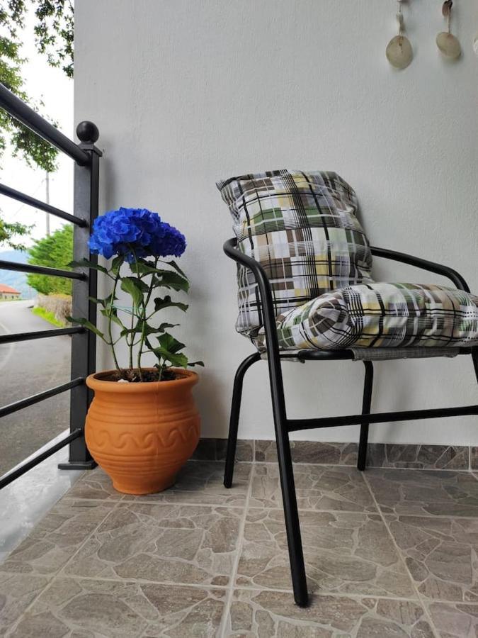 Appartement Isidora Zagora